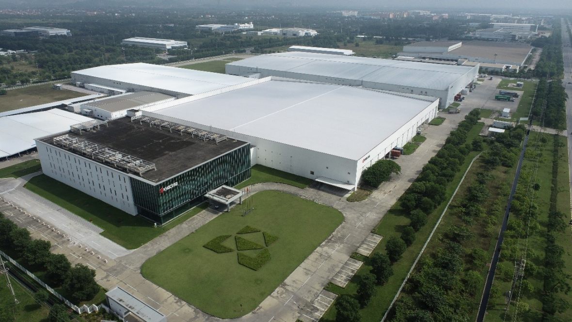 Vietnam plant Vietnam plant